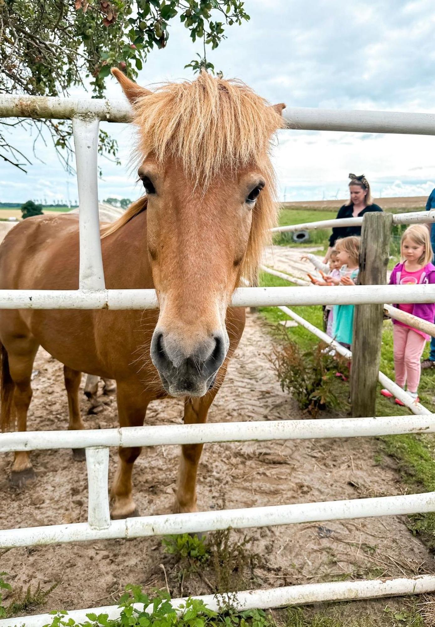 Domki Sielanka Niechorze Buitenkant foto