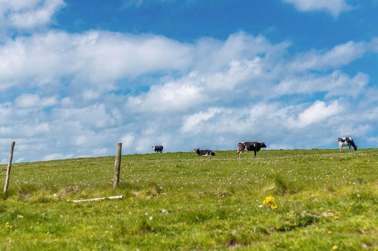 Domki Sielanka Niechorze Buitenkant foto